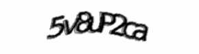 Security check image, please type the characters shown